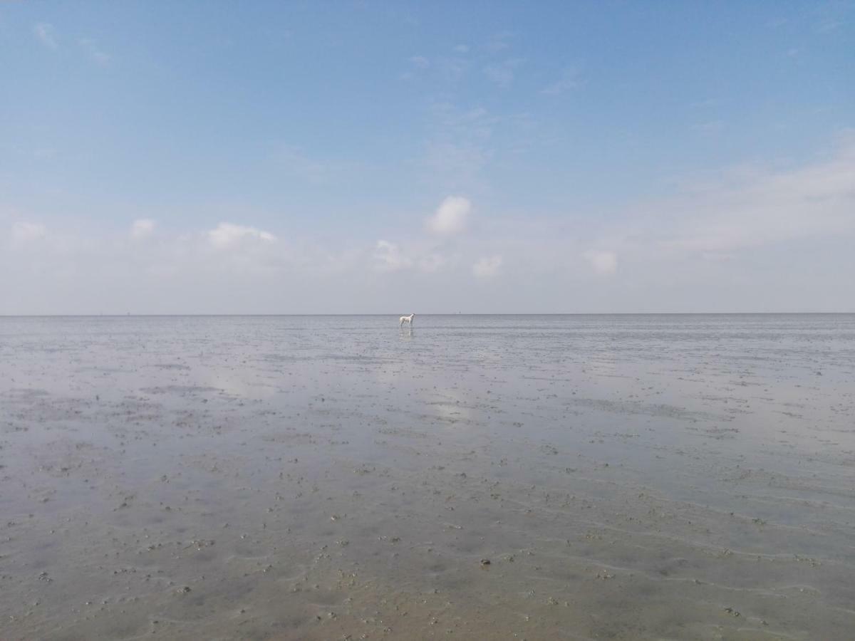 Ellie-Ferienhaus Strandraeuber - Vs1 Dorumer Neufeld Exterior foto
